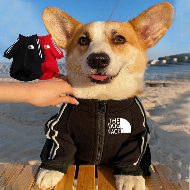 Cool Dog Hoodies: Cozy & Trendy Canine Attire